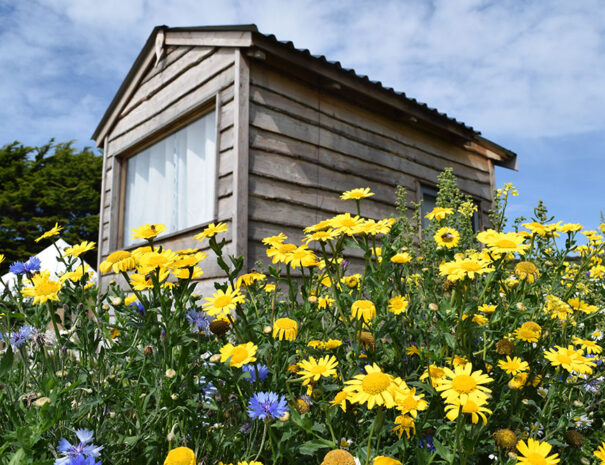 Glamping_Croyde_Camping