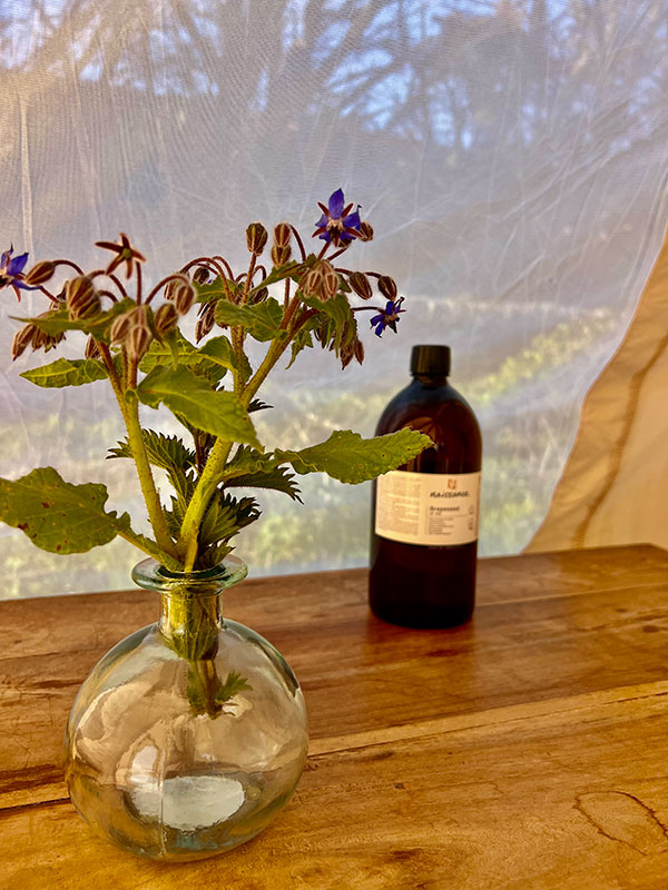 croyde-yoga-massage-05